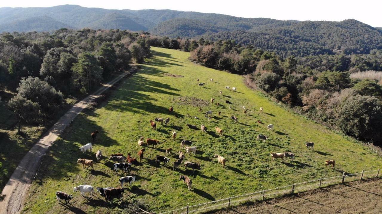 Brugarolas Village Castelltercol Zewnętrze zdjęcie